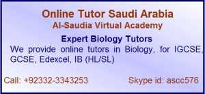Online Tutor Saudi Arabia Specialist tutor for Edexcel