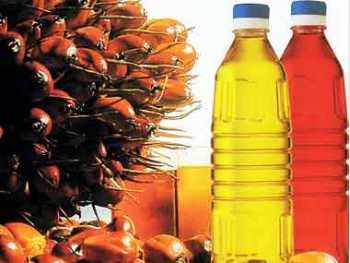 Sunflower Oil Palm Oil Olive oil Rapeseed oil Peanut Oil Cottonseed Oil and others